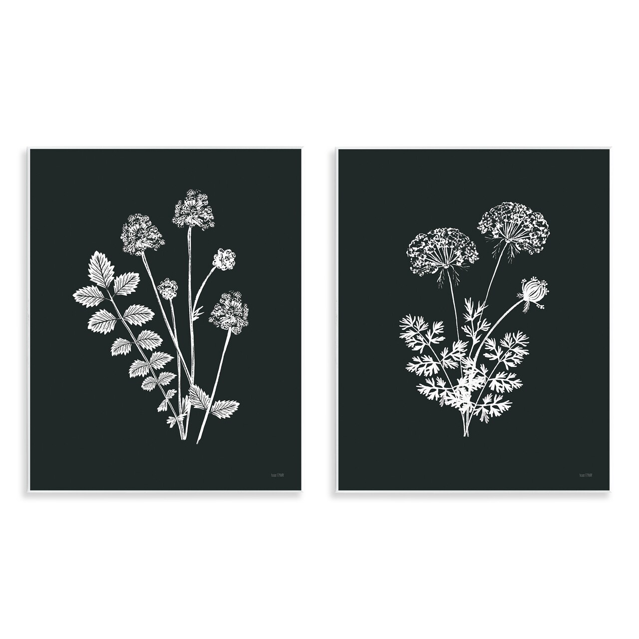 Stupell Industries Black and White Flower Cluster 2 pc Wall Plaque Art Set Design by House Fenway
